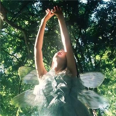 首富回乡之家有祸妻